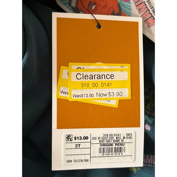 Latino Heritage Month CHILDS Gender Inclusive Latin America Hooded Sweatshirt SI - Picture 8 of 8